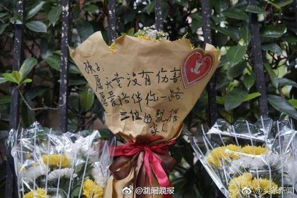 水平如何？周琦家人社媒晒糊糊打球集锦：剪辑型球员